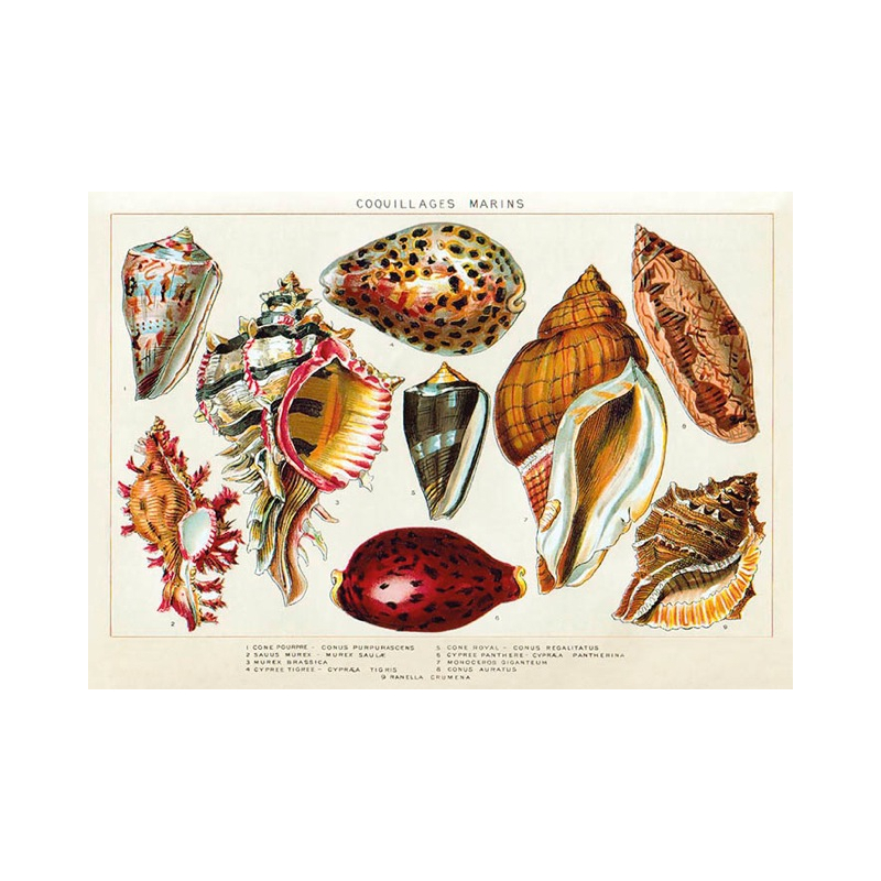 Set de Table Coquillages souvenirs Île de Ré - création France