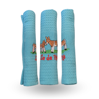 Torchon brodé âne turquoise ombre