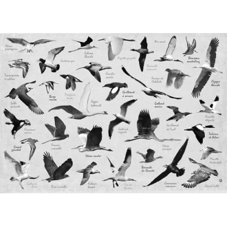 Set de table Oiseaux de l'Île de Ré verso - Création française - Fabriqué en Europe