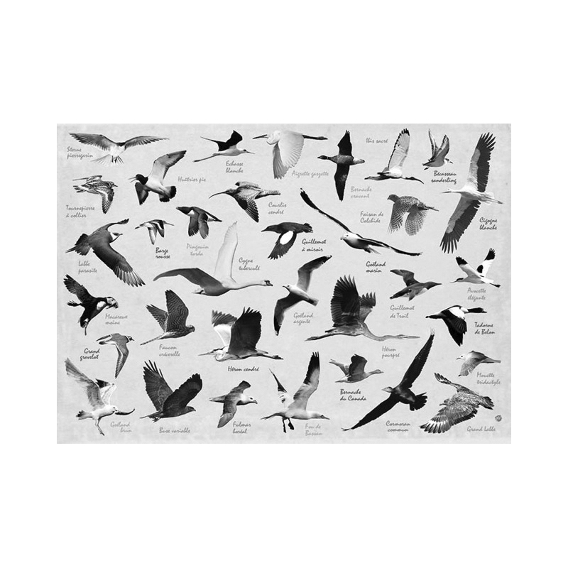 Set de table Oiseaux de l'Île de Ré verso - Création française - Fabriqué en Europe