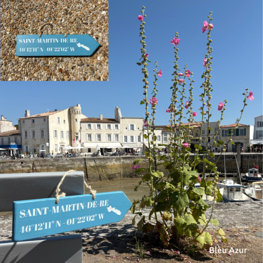 Pancarte St Martin de Ré droite Bleu Français