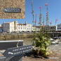 Wooden directional sign - St Martin de Ré left arrow