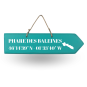 Wooden sign - Phare des Baleines straight arrow green