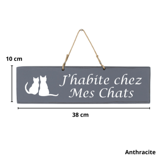 Pancarte en bois - J'habite chez mes chats Anthracite