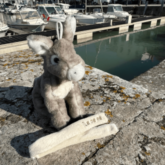 Peluche Âne gris de l'Île de Ré port