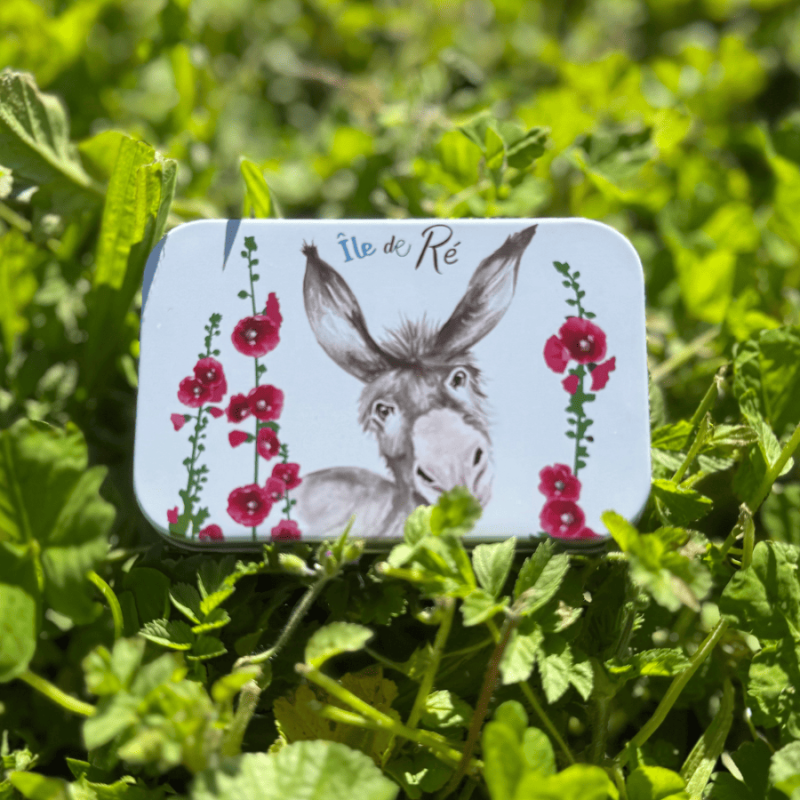 Île de Ré soap box - donkey's head hollyhocks