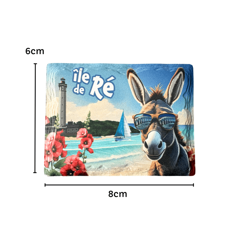 Magnet céramique rectangle - Âne rigolo lunettes de soleil