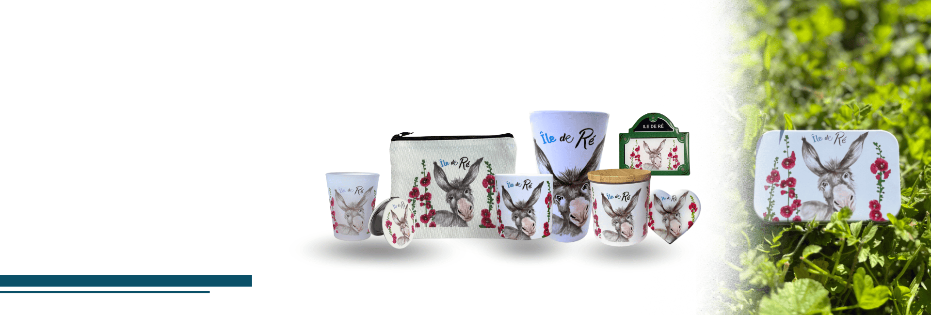 Donkey Head Collection Hollyhocks image